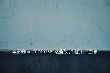 奔富的bin 707407389这些数字到底什么意思