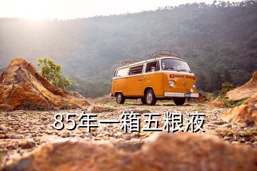 85年一箱五粮液