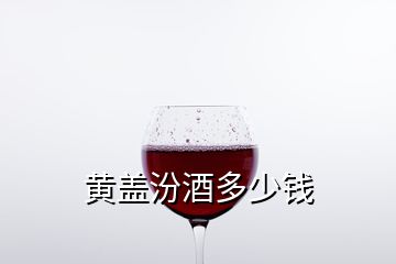 黄盖汾酒多少钱