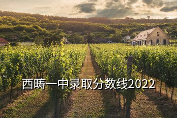 西畴一中录取分数线2022