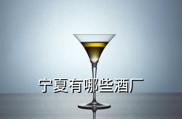 宁夏有哪些酒厂