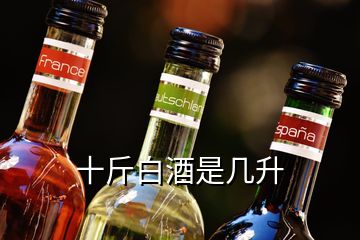 十斤白酒是几升