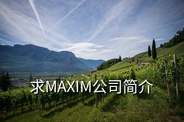 求MAXIM公司简介