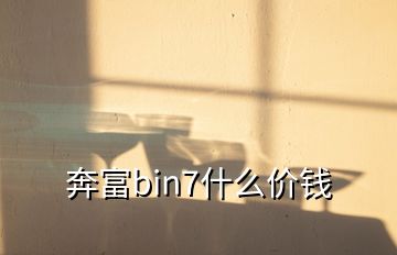 奔富bin7什么价钱