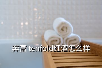 奔富 tenfold红酒怎么样