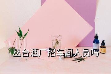 丛台酒厂招车间人员吗