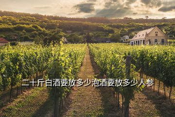 二十斤白酒要放多少泡酒要放多少人参