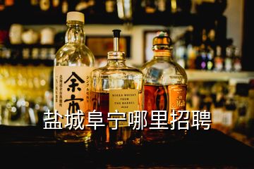 盐城阜宁哪里招聘