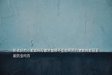 新收获的小麦如何存放才能够不生虫呢把白酒放到麦囤里能防虫吗百