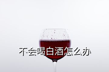 不会喝白酒怎么办