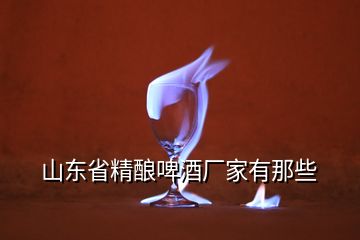 山东省精酿啤酒厂家有那些