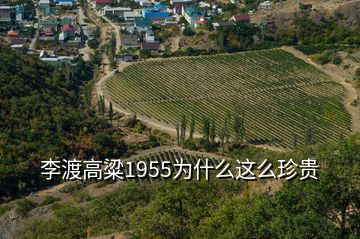 李渡高粱1955为什么这么珍贵