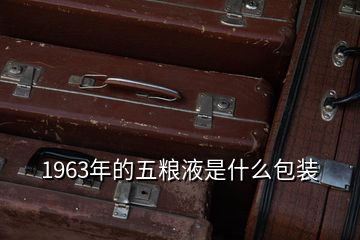 1963年的五粮液是什么包装