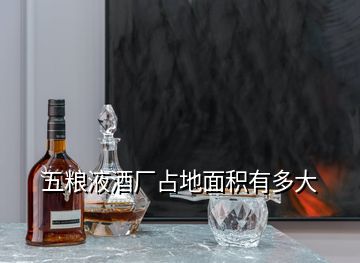 五粮液酒厂占地面积有多大