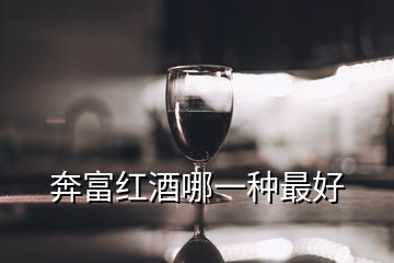 奔富红酒哪一种最好