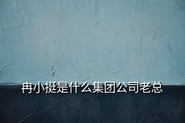 冉小挺是什么集团公司老总