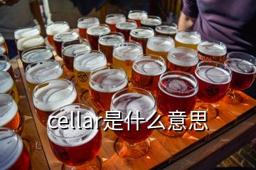 cellar是什么意思