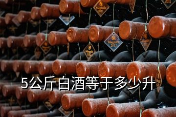 5公斤白酒等于多少升