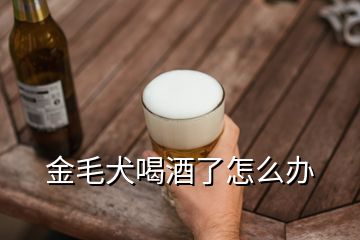 金毛犬喝酒了怎么办