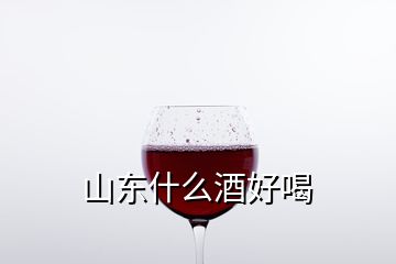 山东什么酒好喝