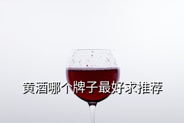 黄酒哪个牌子最好求推荐