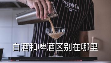 白酒和啤酒区别在哪里