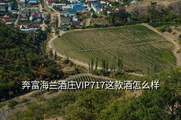 奔富海兰酒庄VIP717这款酒怎么样