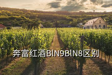 奔富红酒BlN9BlN8区别