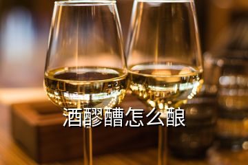 酒醪醩怎么酿