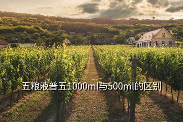 五粮液普五1000ml与500ml的区别