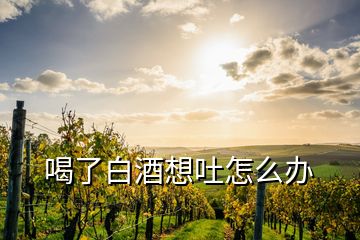 喝了白酒想吐怎么办