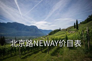 北京路NEWAY价目表