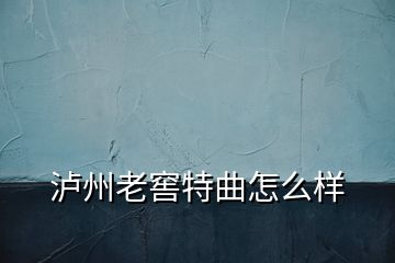 泸州老窖特曲怎么样