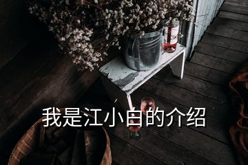 我是江小白的介绍