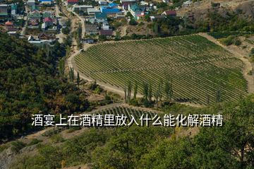 酒宴上在酒精里放入什么能化解酒精