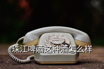 珠江啤酒这种酒怎么样