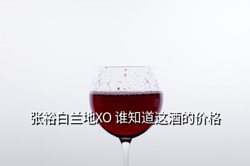 张裕白兰地XO 谁知道这酒的价格