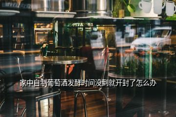 家中自制葡萄酒发酵时间没到就开封了怎么办