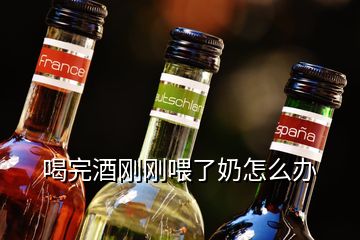 喝完酒刚刚喂了奶怎么办