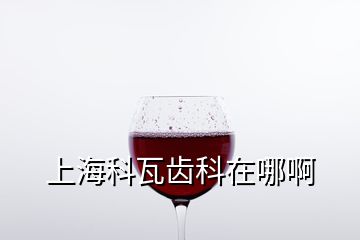 上海科瓦齿科在哪啊