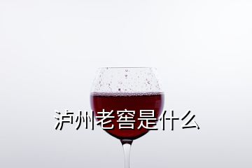 泸州老窖是什么