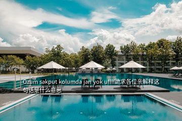 Ozum sakput kolumda jan yok uffff跪求各位亲解释这句话是什么意思