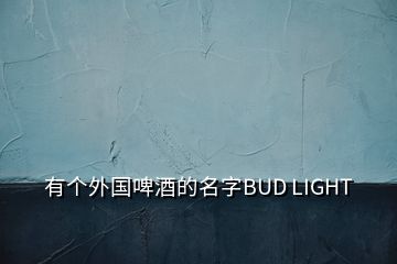 有个外国啤酒的名字BUD LIGHT