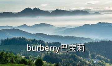 burberry巴宝莉