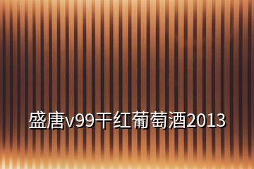 盛唐v99干红葡萄酒2013