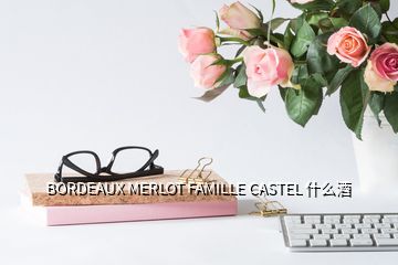 BORDEAUX MERLOT FAMILLE CASTEL 什么酒