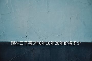 现在口子窖5年6年10年20年价格多少