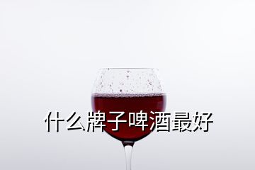 什么牌子啤酒最好