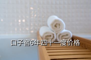 口子窖6年四十一度价格