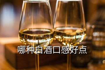 哪种白酒口感好点